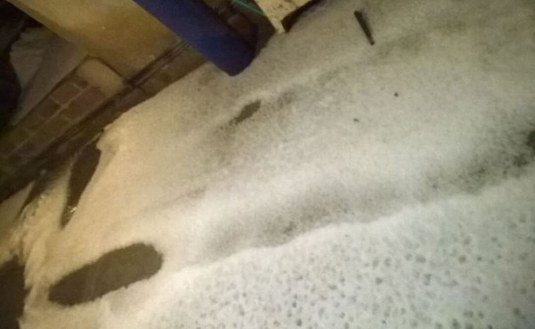 Foto: Tomada de @minerva1078