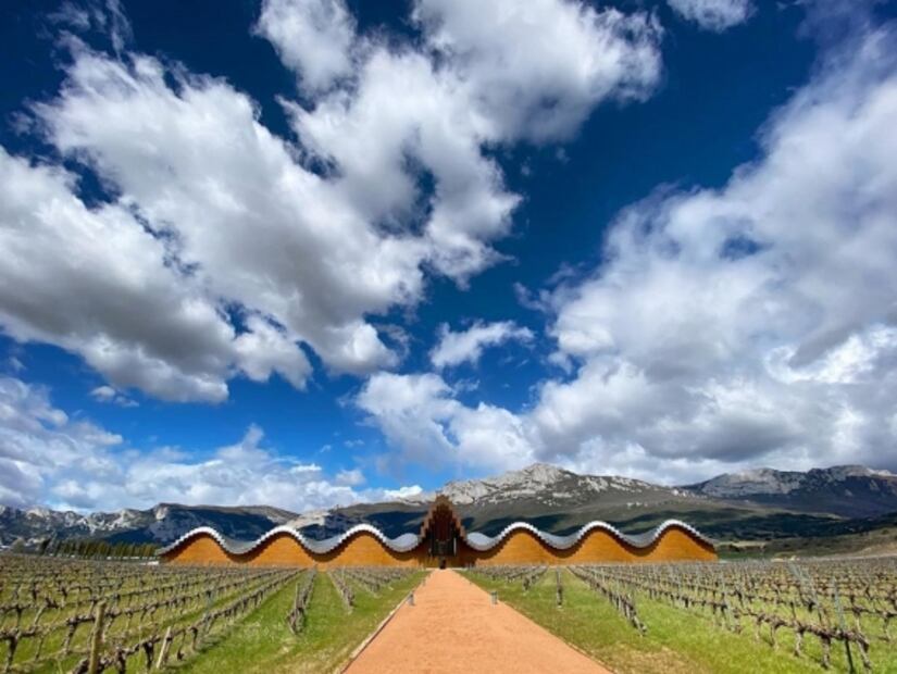 Descubre los mejores viñedos españoles en un tour virtual