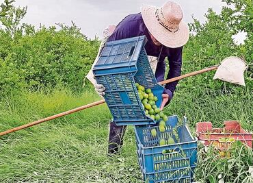 En México opera la narcoinflación: Rubén Moreira