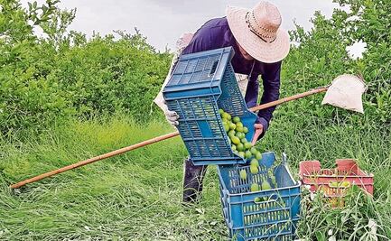 En México opera la narcoinflación: Rubén Moreira