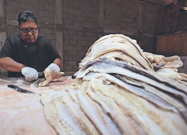 Bacalao, el pez del Ártico que se consume en México