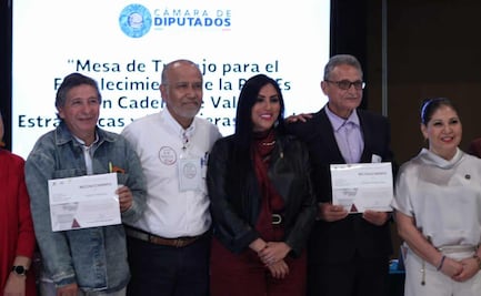 Diputados y SHCP instalan mesas de trabajo para fortalecer apoyo a PyMEs; presentan cinco ejes estratégicos