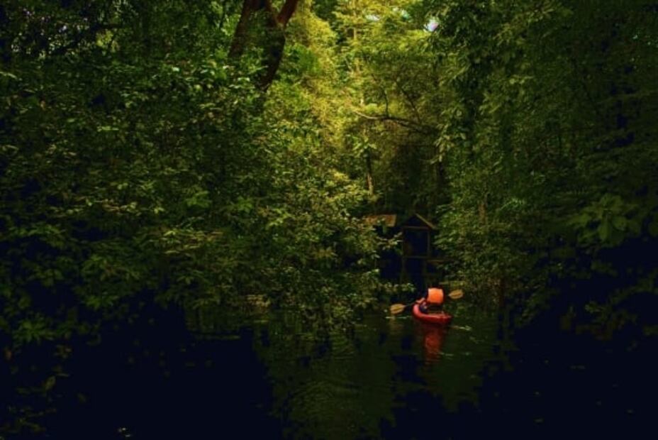 5 bosques donde escapar de la mala calidad del aire de la CDMX