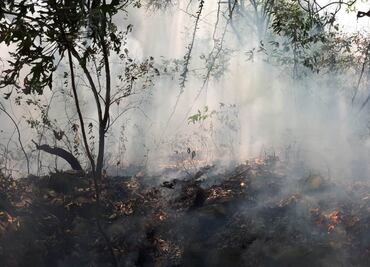 Profepa presenta denuncia por incendio provocado en el Parque Nacional “El Tepozteco”