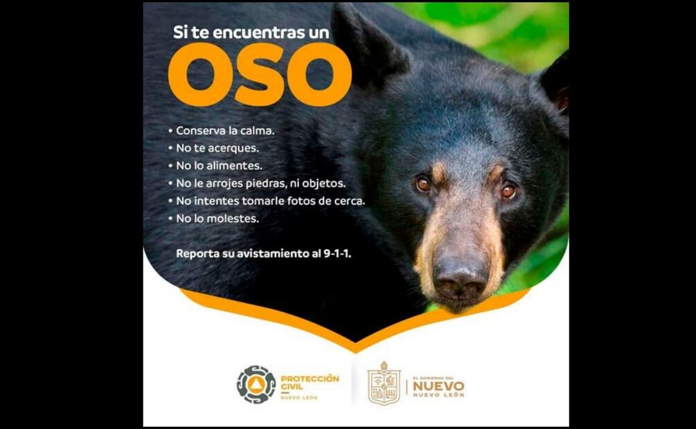 Foto: Protección Civil Nuevo León