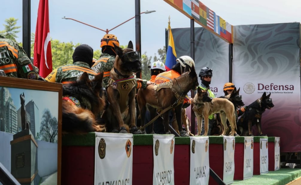Binomios caninos de la Defensa entrenados para buscar personas participarán en el desfile militar del 16 e septiembre (09/09/2026). Foto: Karla Guerrero/EL UNIVERSAL
