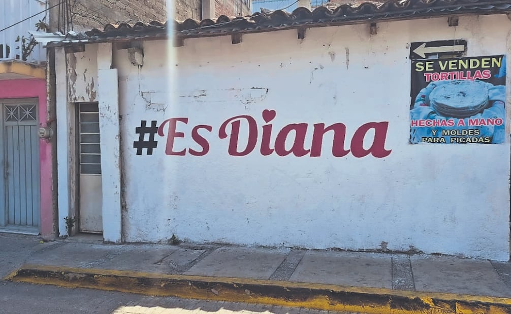 En casi todo el estado, principalmente en Acapulco, Chilpancingo, Iguala y Zihuatanejo, se pueden ver bardas, algunos espectaculares e incluso en el papel de las tortillas los nombres de algunos aspirantes de Morena a la candidatura. Foto: Arturo de Dios Palma y Salvador Cisneros/ EL UNIVERSAL