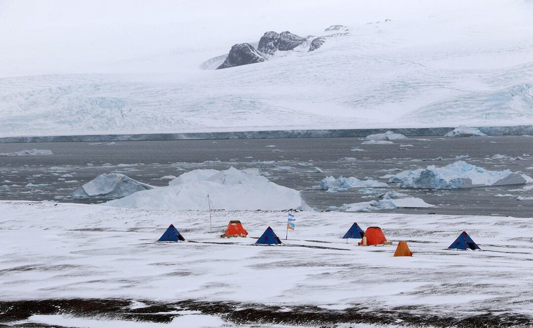 Investigador de la UNAM viaja a la Antártida. Foto: UNAM