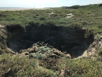 Confirman muerte de 300 tortugas por red de pesca prohibida