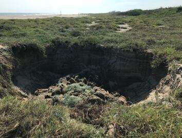 Confirman muerte de 300 tortugas por red de pesca prohibida