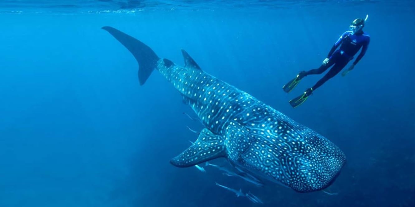 Foto: Secretaría de Turismo de Baja California