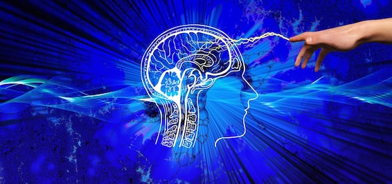 Neuralink estará lista para implantes cerebrales en 6 meses: Musk