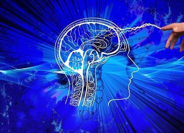 Neuralink estará lista para implantes cerebrales en 6 meses: Musk