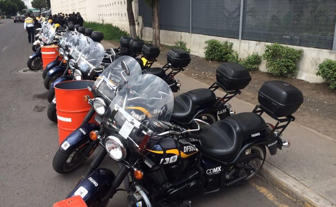 Foto. Fernando Ramírez / EL UNIVERSAL