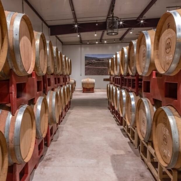 Explora la ruta de vinos en Coahuila 