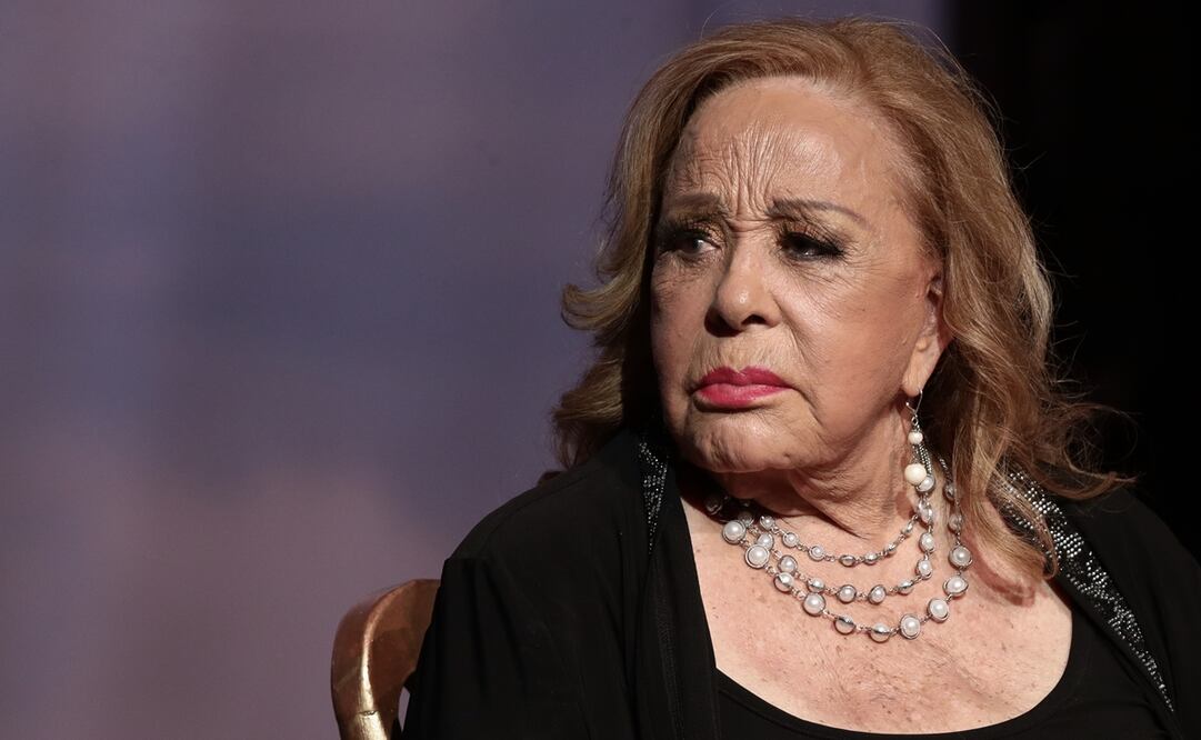 El Silvia Pinal, un teatro que Mónica Marbán no pudo salvar de la pandemia. Foto: Diego Simón Sánchez/EL UNIVERSAL