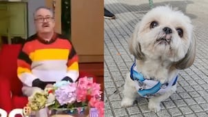 "Con ganas de aventar carne envenenada": Pedro Sola desata una tormenta de críticas por comentario sobre perros