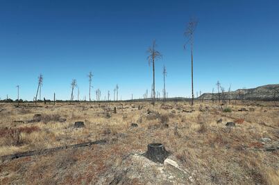 Narcotala en Chihuahua desplaza a rarámuris
