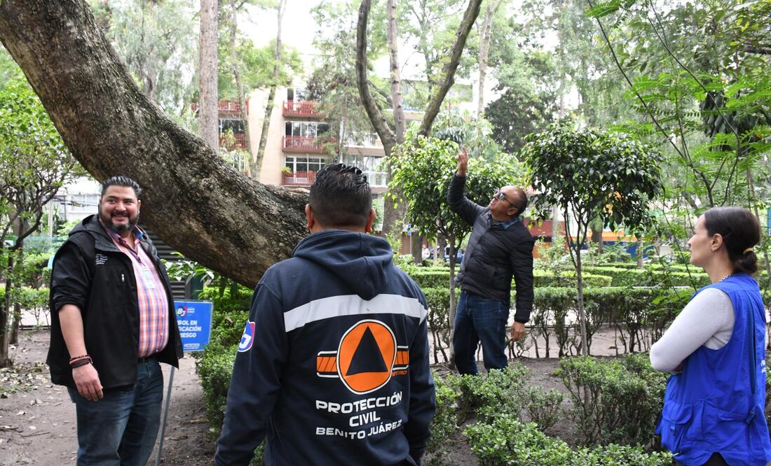 La alcaldía Benito Juárez verifica árboles en riesgo de caer, con la finalidad de prevenir incidentes durante la temporada de lluvias y proteger la integridad de vecinos y visitantes. (Foto: especial)