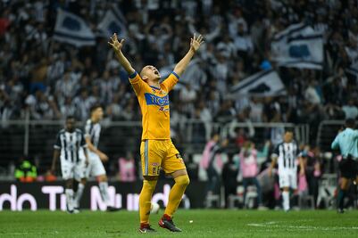 Campeonato de Tigres en imágenes