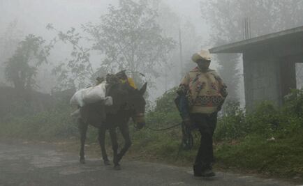 Entregan cobertores a familias vulnerables en Chiapas