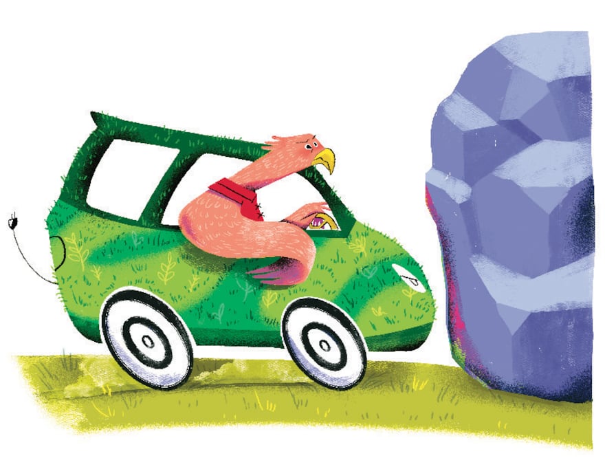 Ilustración: Ani Cortés