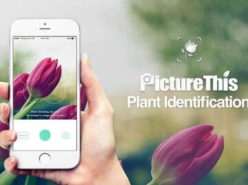 Descubre el mundo de las plantas con PictureThis
