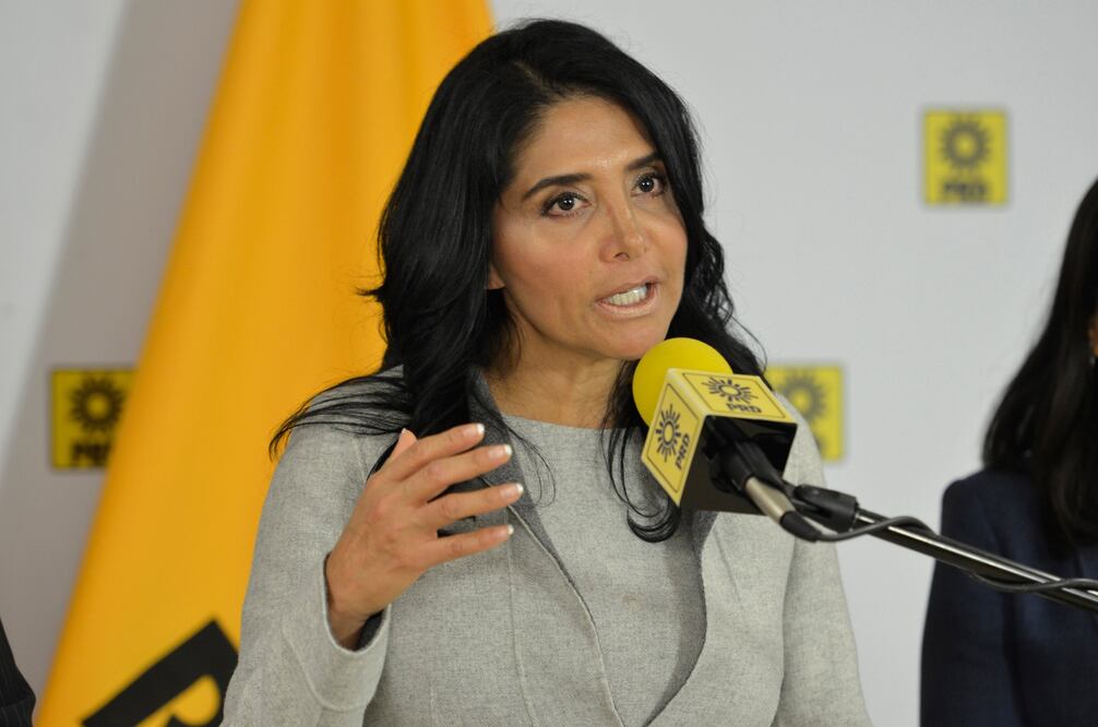 La presidenta nacional del PRD, Alejandra Barrales (Archivo)