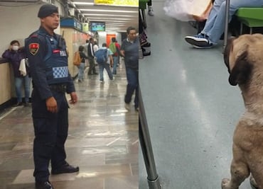 Perrito rebelde: policías, usuarios y sándwich fallan en sacar a can del Metro TIKTOK
