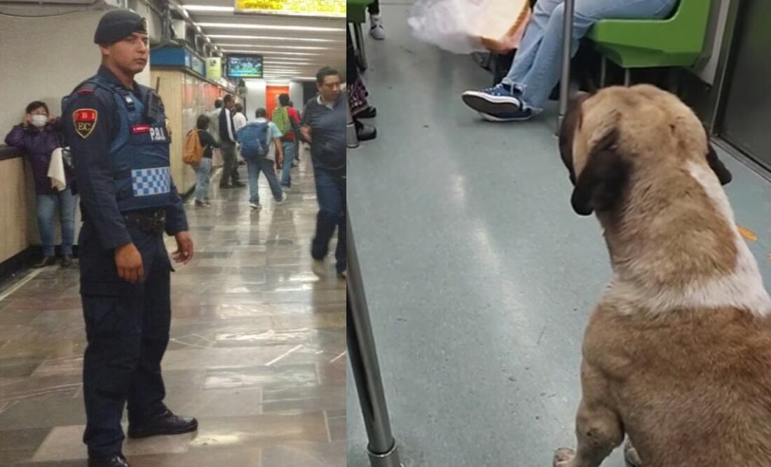 FOTO: Especial y captura tomada de TikTok/ EL UNIVERSAL/