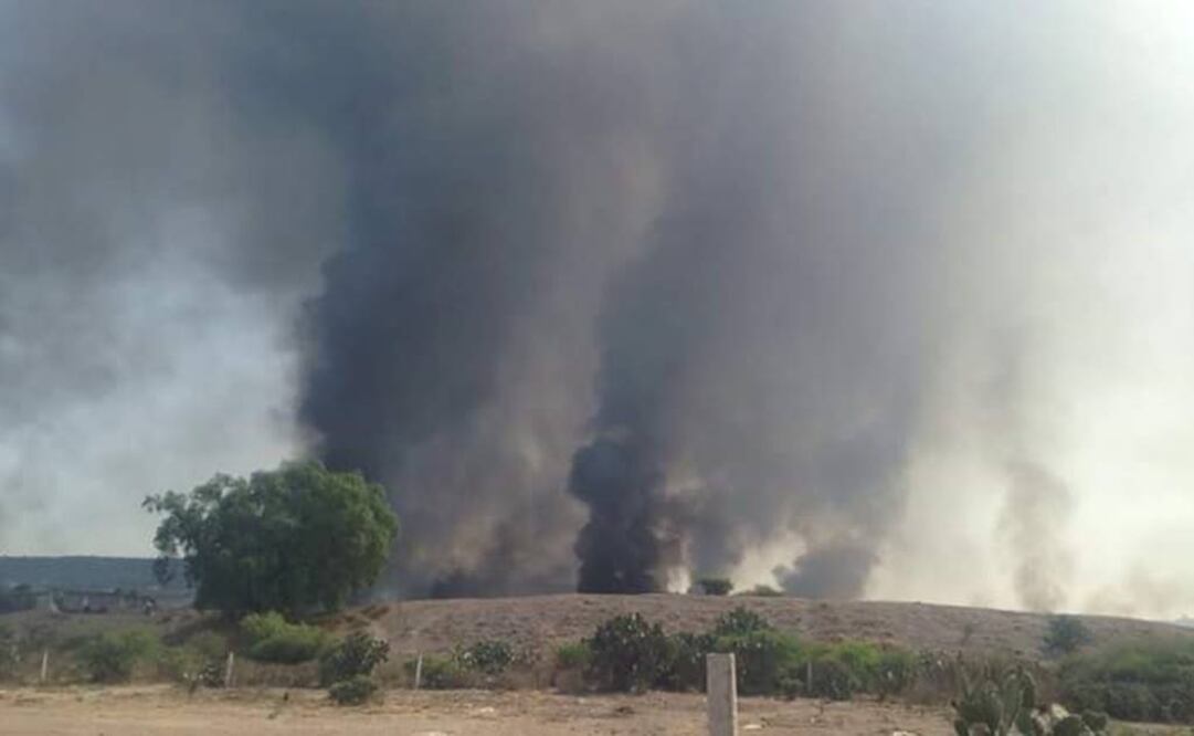 Foto: Cortesía Verónica Monroy