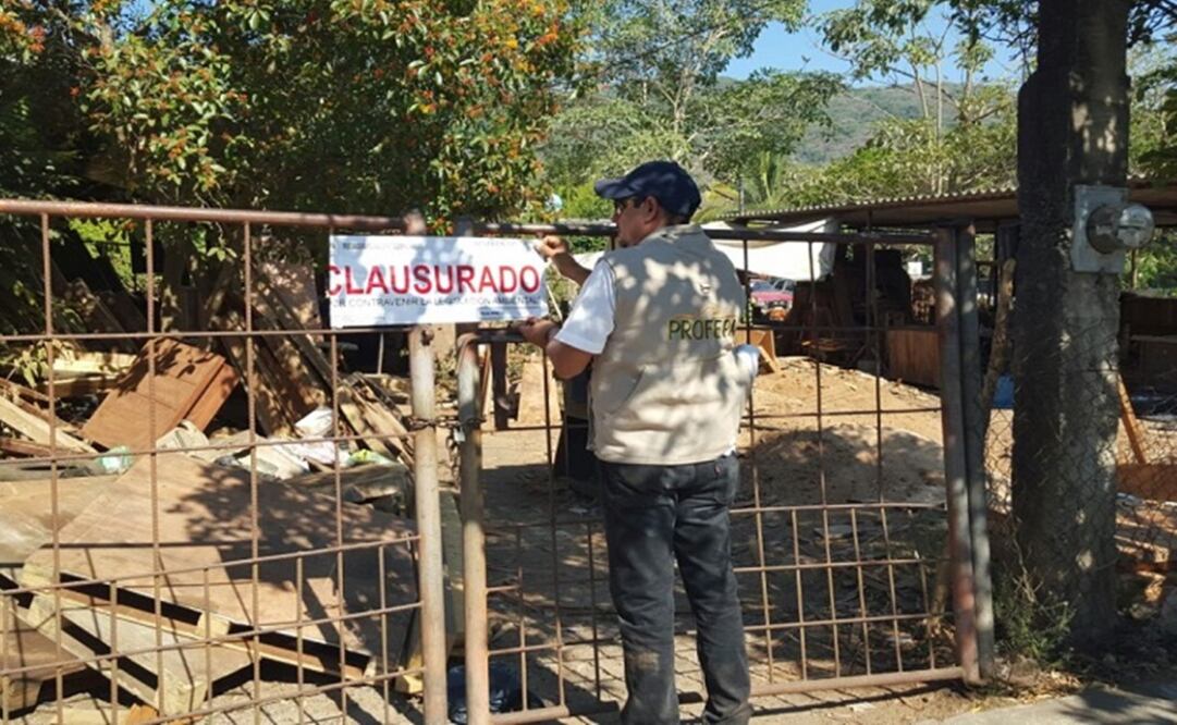 Foto: profepa.gob.mx  