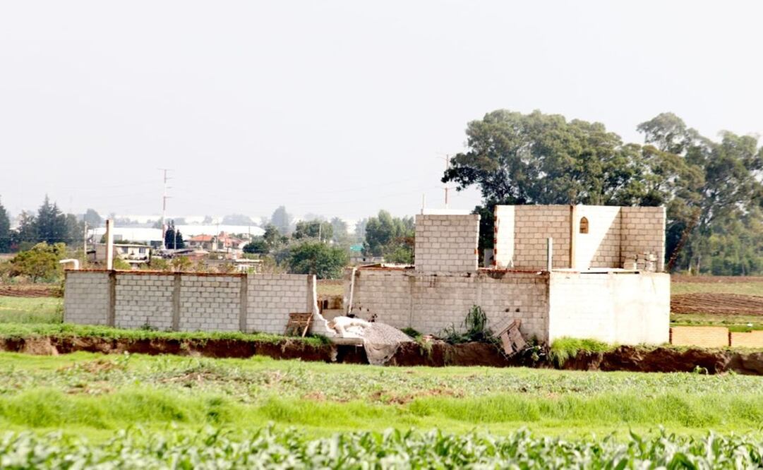 Foto: Omar Contreras/ El Universal