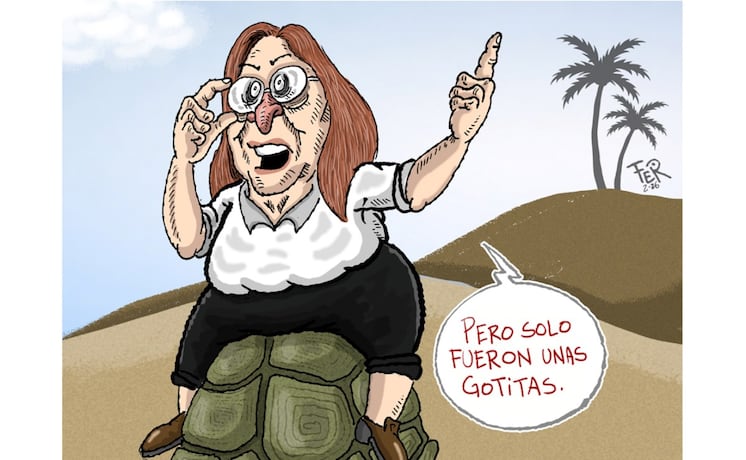 Cartón de FER