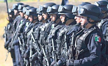 PAN propone reformar la Ley de la Policía Federal