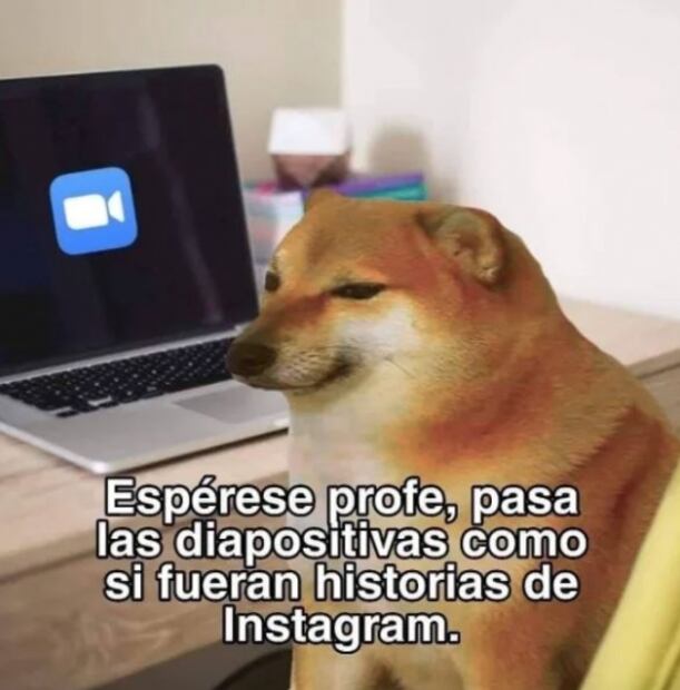 Instagram 2020: el año en memes
