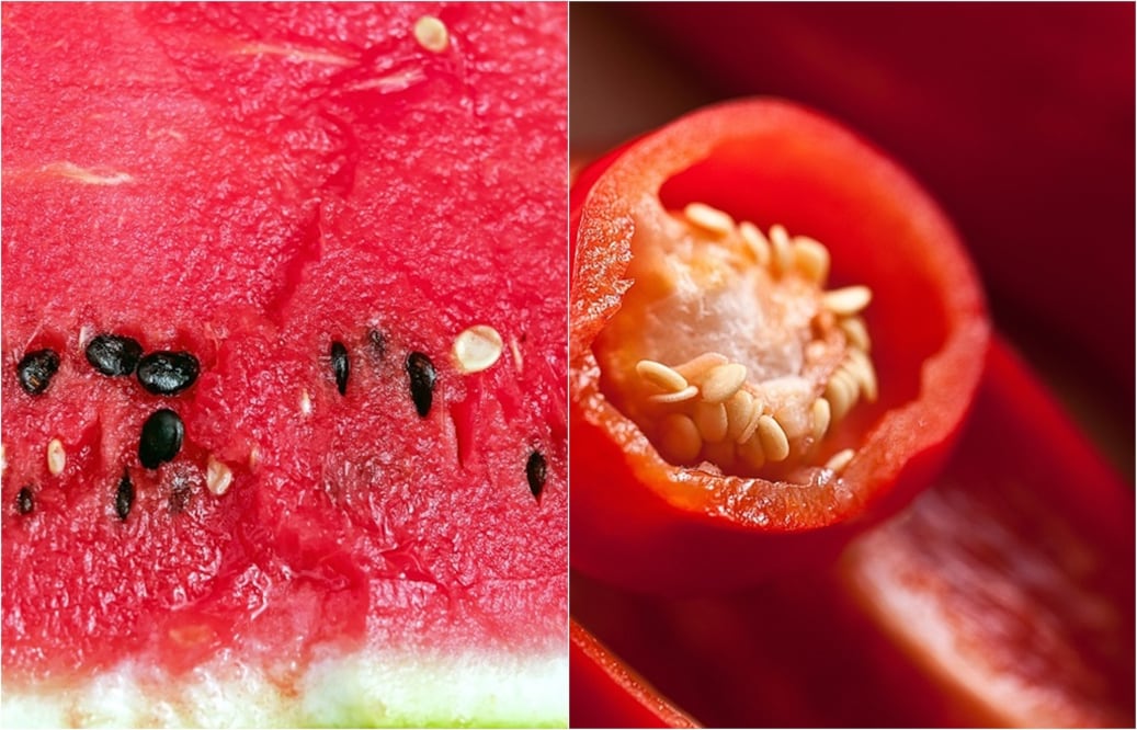 La sandía y el pimiento rojo contienen vitamina C que son esenciales para nuestro cuerpo. (Fotos: Pixabay)