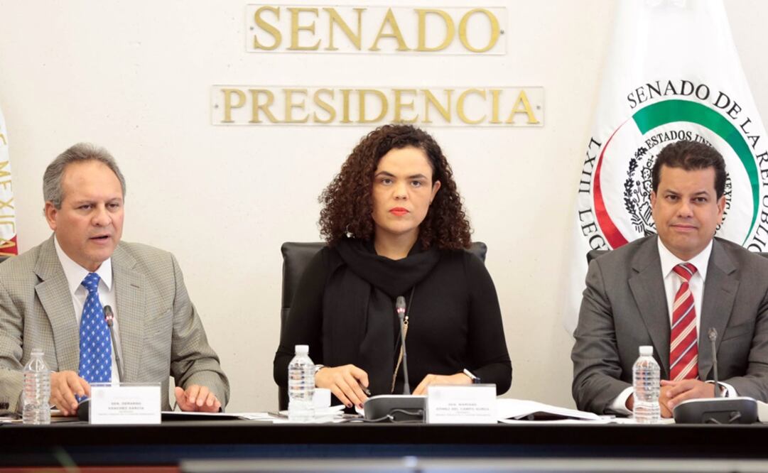 La senadora panista presidirá dicha instancia hasta el término del actual periodo de receso del Congreso. /Especial