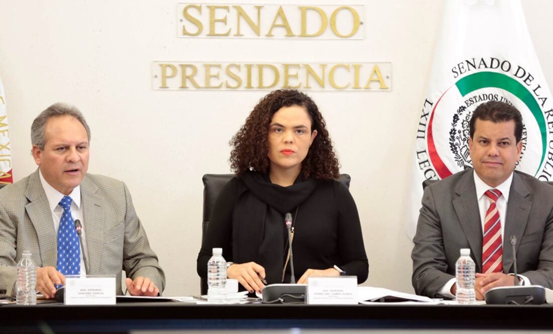 La senadora panista presidirá dicha instancia hasta el término del actual periodo de receso del Congreso. /Especial