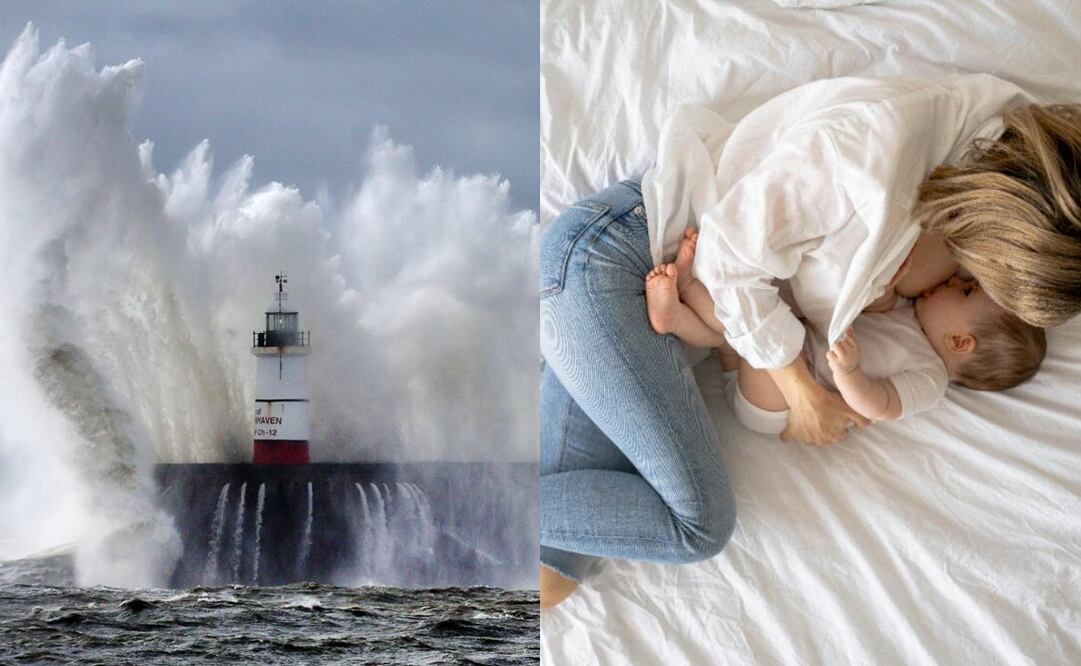 Entre estos temas están estructuras marítimas de señalización y sobre la lactancia materna.