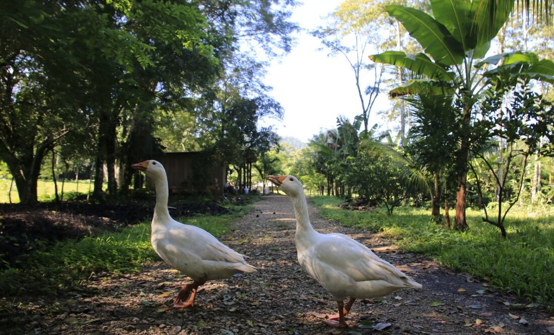 Foto: Luis Manuel López