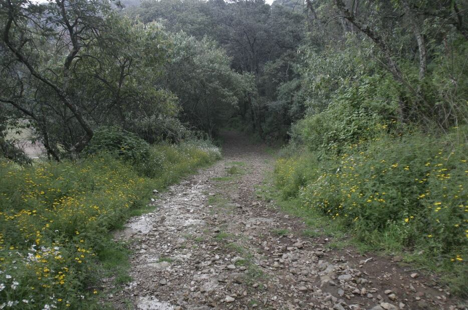 Imagen: Archivo El Universal