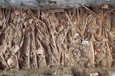 Identifican a la primera víctima de peste; vivió hace 5 mil años 