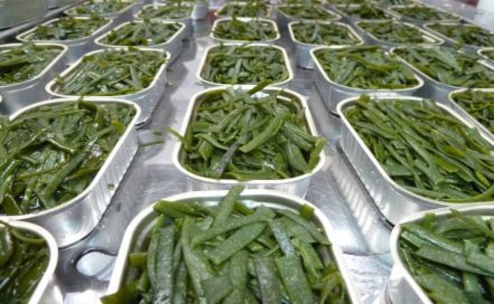 Aprovecha las propiedades de las algas en la cocina