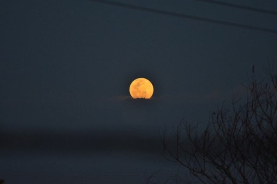 ¿Qué es la luna rosa y cuándo se verá en CDMX?