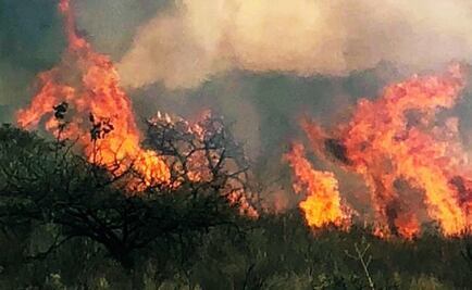 Impiden a brigadas oficiales combatir incendio en Chimalapas, Oaxaca