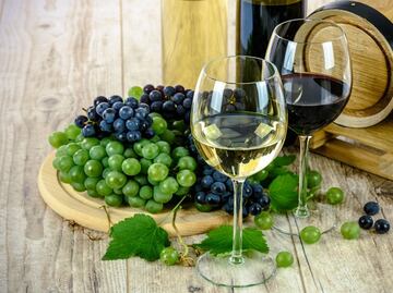 Conoce las fiestas de vendimia de Querétaro 2019