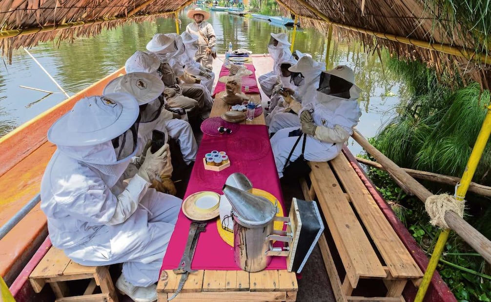 Integrantes de Abejas de Barrio recorren los canales de Xochimilco para enseñar la
importancia de las abejas. Foto: Osmar Alvarado | El Universal / Gráfico.