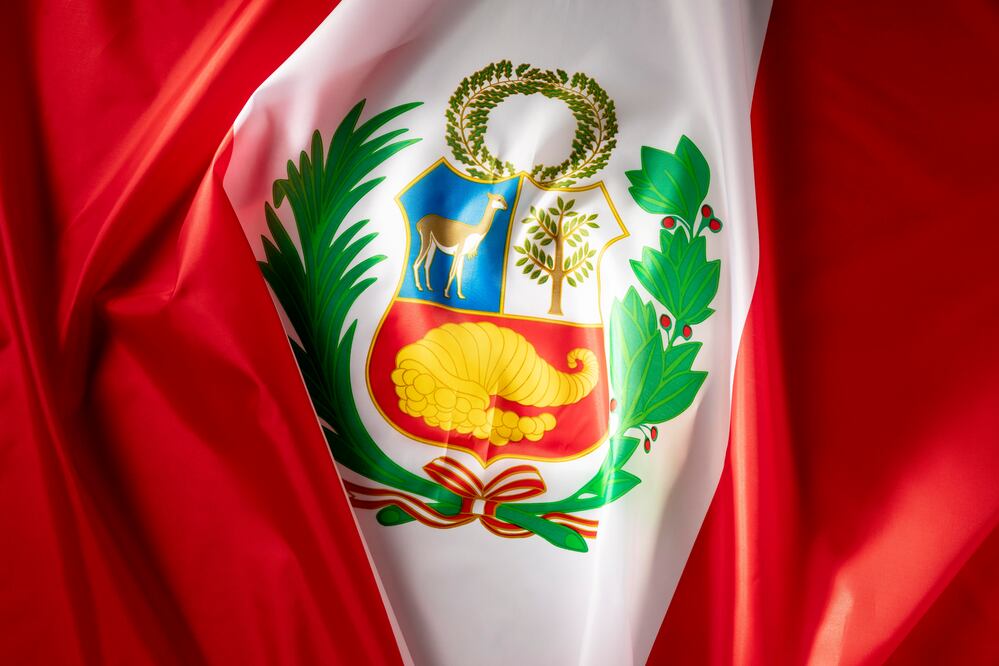 Perú aceptó apoyar "en la gestión y atención de los ecuatorianos en situación de vulnerabilidad que se encuentren en México". Foto: Freepik