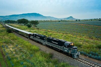 Cómo es la experiencia a bordo del tren Tequila Express